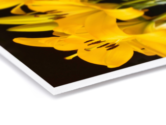 Directdruk op Forex 5 mm - closeup - bloemen bewerkt