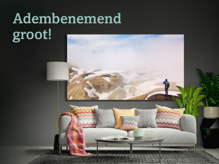 PRO-Groot-formaat-wanddecoratie-website