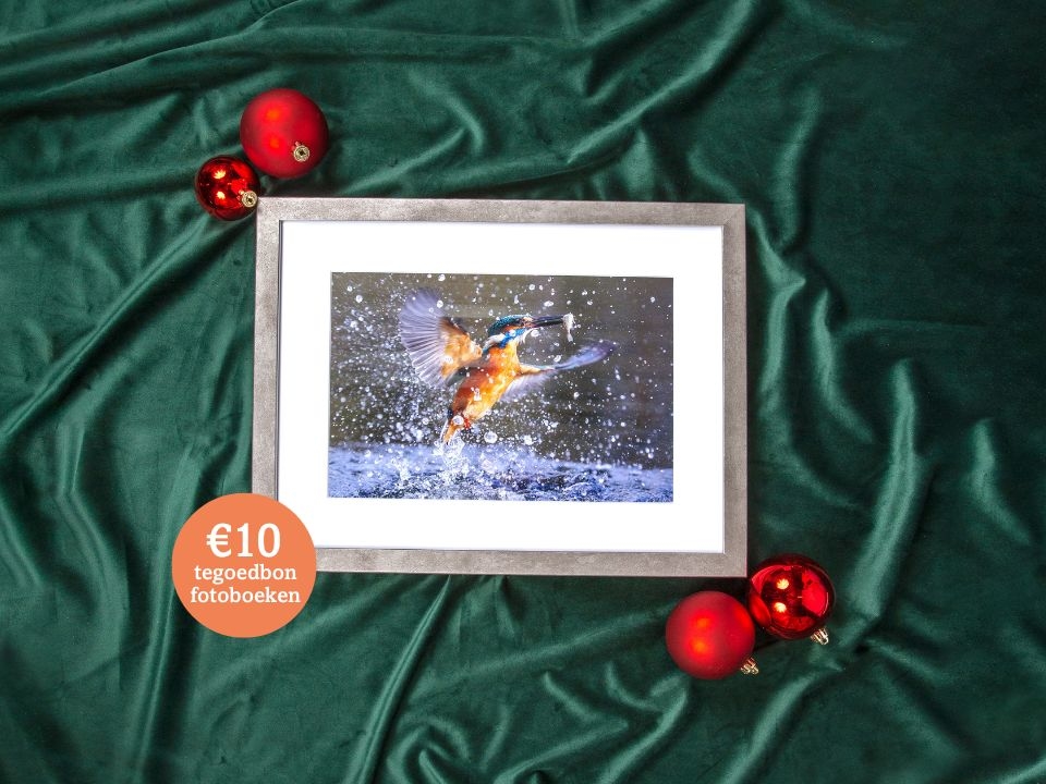 Decemberkorting-wanddecoratie