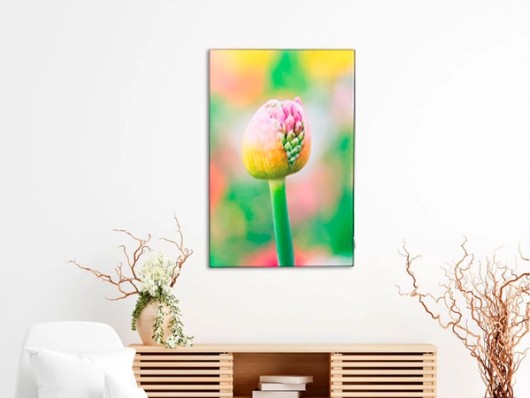 Wanddecoratie aan de muur