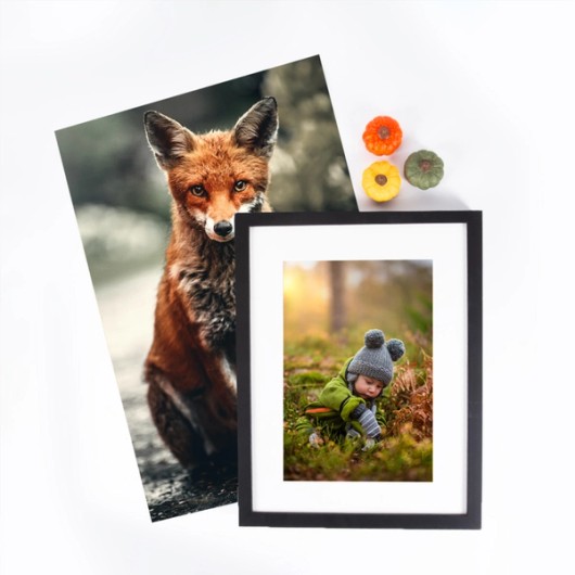 Examples of autumn photos