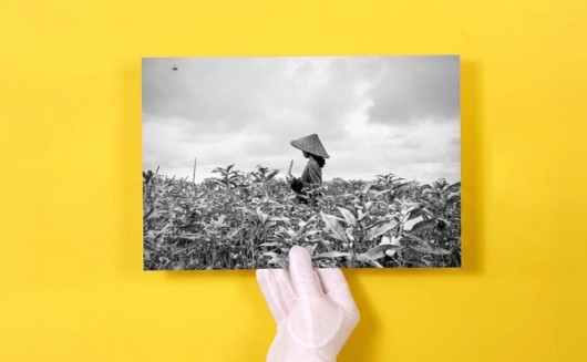 zwart-wit fotoafdrukken