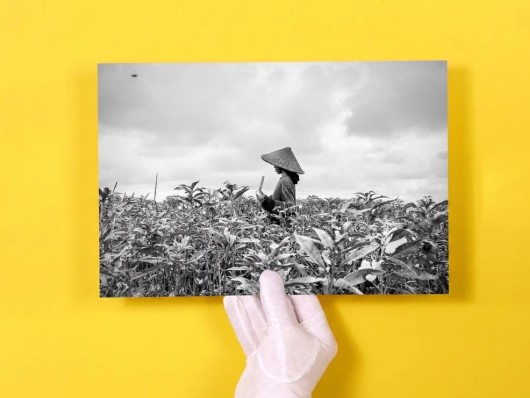 zwart-wit fotoafdrukken