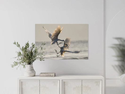 Photo sur Alu Dibond au mur