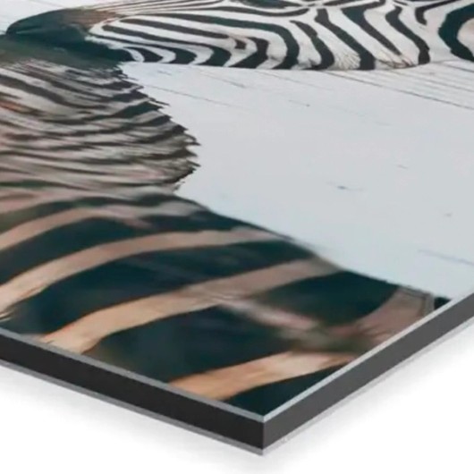 matériau Alu Dibond