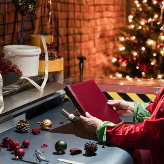 Kerstsfeer bij profotonet