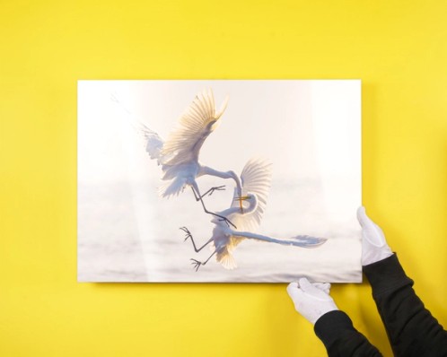 Photo sur aluminium Dibond sur fond jaune