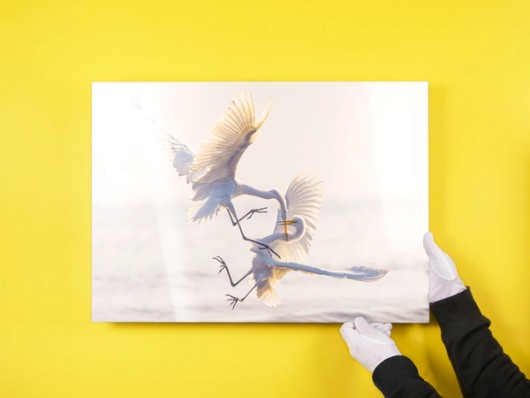 Photo sur aluminium Dibond sur fond jaune