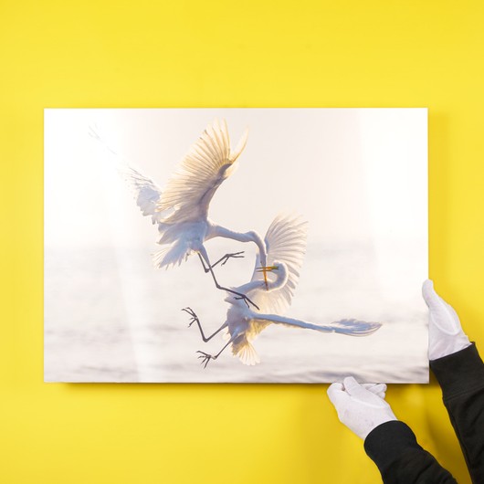 Print on aluminium dibond