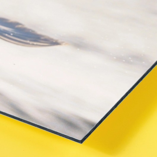 Détail d’un tirage Fine Art sur aluminium Dibond