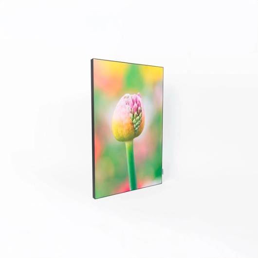 Acoustic Wall Art mit Blumenmotiv