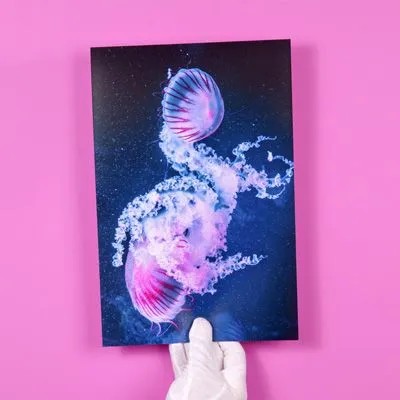 Handschoen met een fotoafdruk op posterformaat