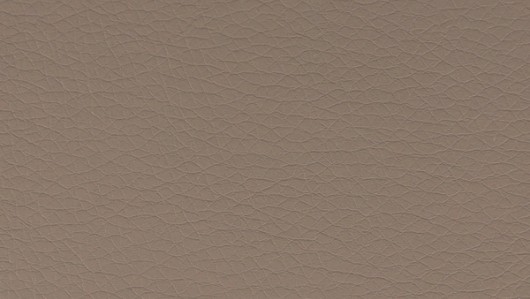 Saloon Brown