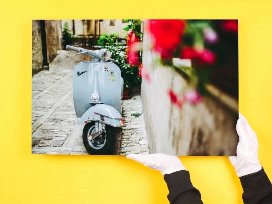 Foto mit Libelle auf Polystyrol