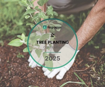 Plantation d'arbres 