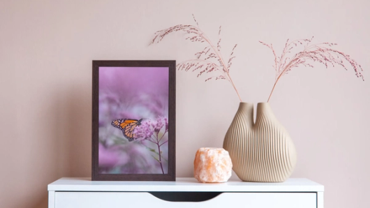 foto in lijst met vlinder