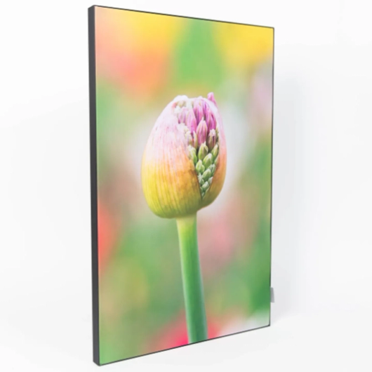 acoustic wall art met bloem