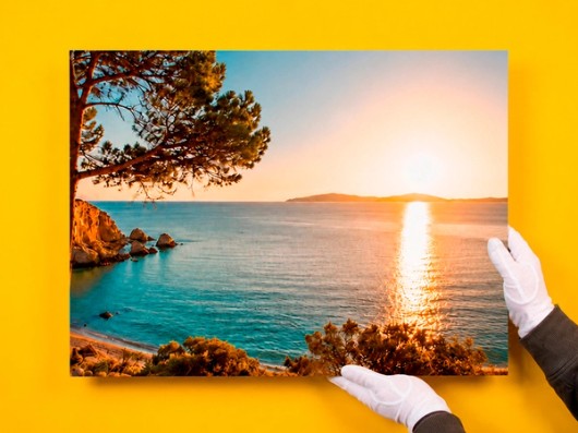 Print on forex with a beach view
