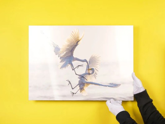 Foto op aluminium dibond