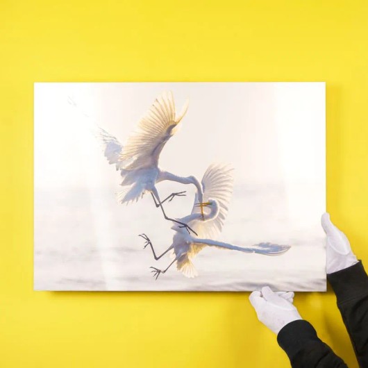 Voorbeeld foto op aluminium dibond