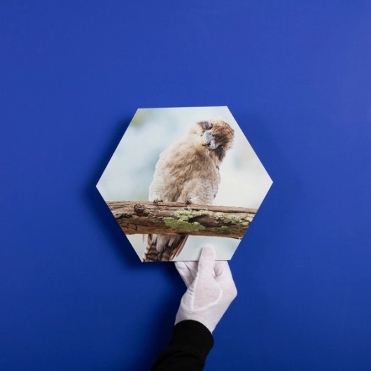 Hexagon Foto Wandbilder