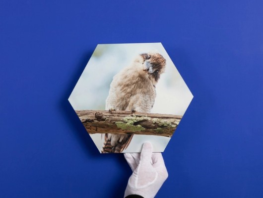 Hexagon foto op aluminium
