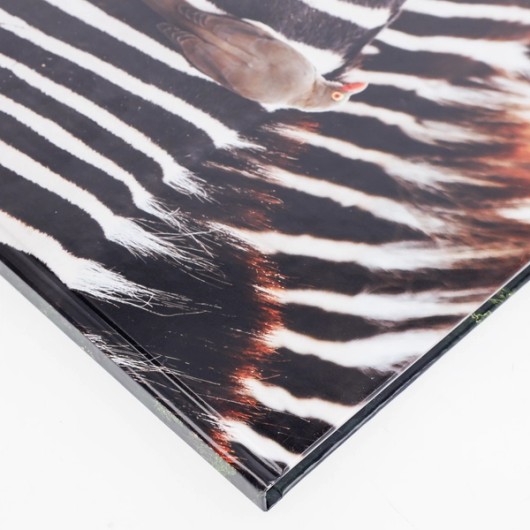 Premium Fotocover 15x15