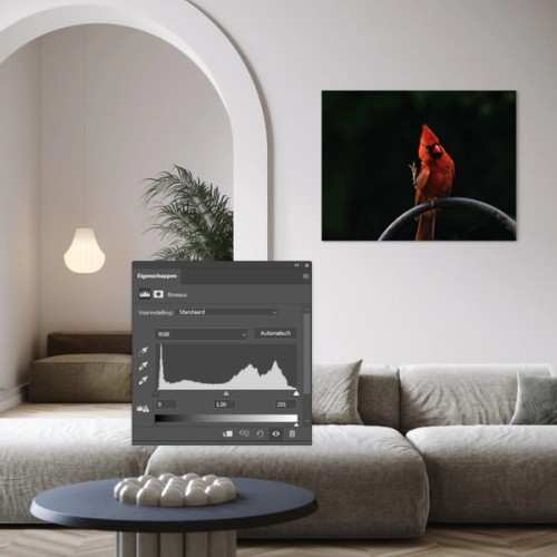 The Histogram for Photography