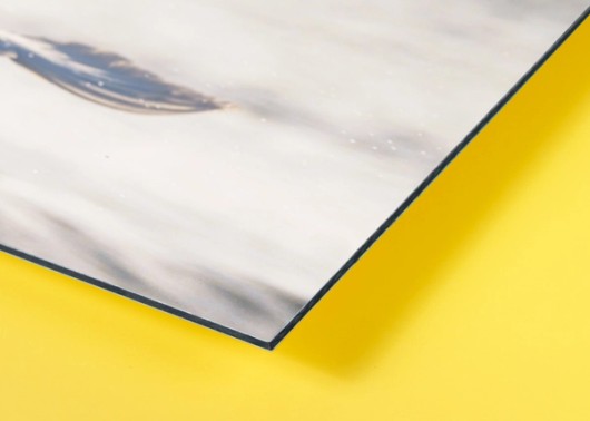 Photo sur Alu Dibond – angle