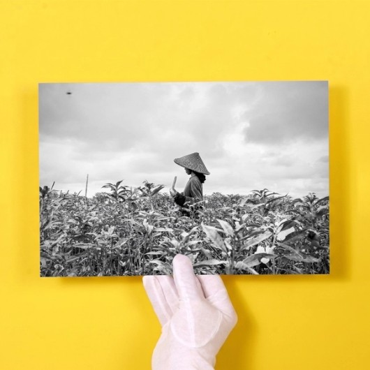 Zwart/wit fotoafdrukken t/m 30x45 cm