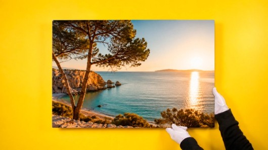Photo sur aluminium Dibond sur fond jaune