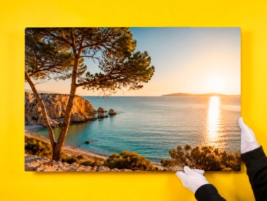 Photo sur aluminium Dibond sur fond jaune