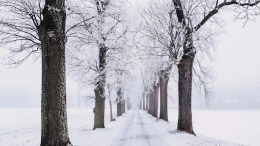 Schneefoto – Winterfoto – perfektes Weiß
