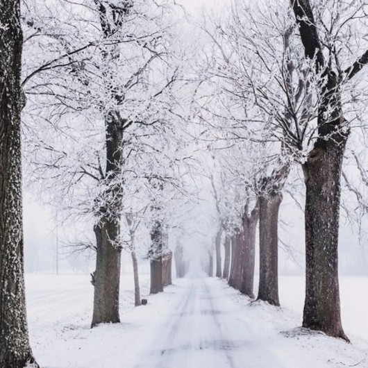 Photo of a snowy road