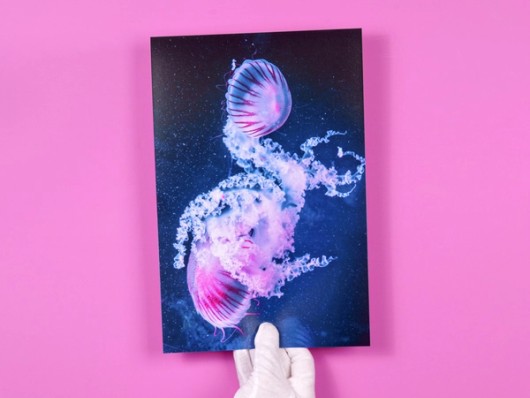 fotoafdruk op posterformaat