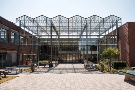 Scholen & universiteit