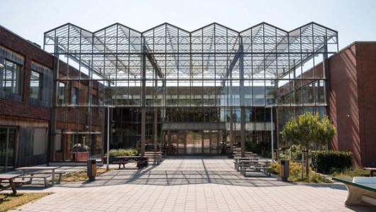 Scholen & universiteit
