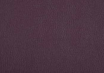 Leer paars cover