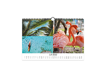 jaarkalender-basiswit-20x30