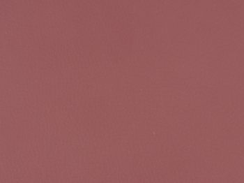 Canyon Red