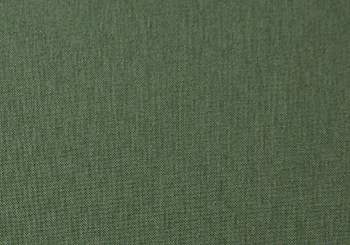 Cactus | Tropical Collection