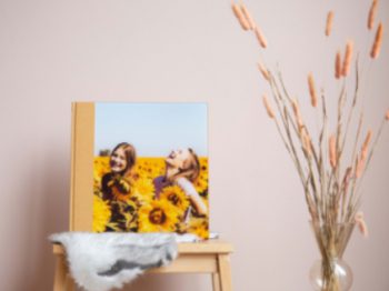 Plexiglas-Fotoabdeckung