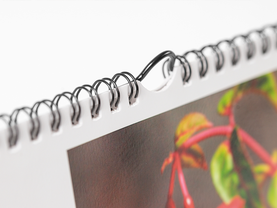 Fotokalender Black Friday 2025 | Profotonet