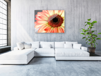 Directdruk op plexiglas