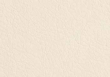 Creamy White