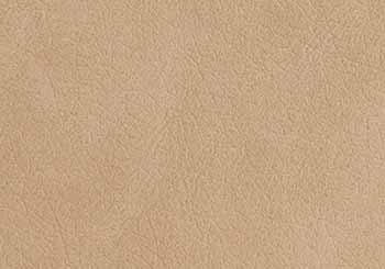 Lawn Beige