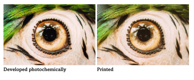 difference-direct-print-developed-photochemically