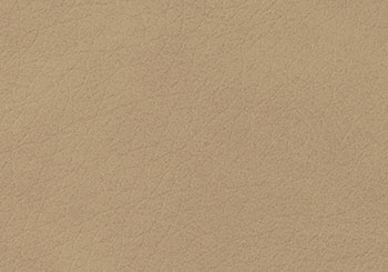 royal-powder-beige-350x245