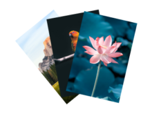 Fine-art-prints-fotoafdrukken