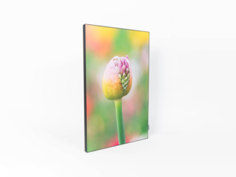 Acoustic photo panel-fixed product photo